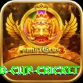 2022 world cup cricket Premium v2.5.1