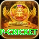 2022 world cup cricket Premium v2.5.1