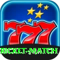 all cricket match Deluxe Edition v3.4.6