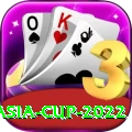 asia cup 2022 Premium Edition v2.9.1