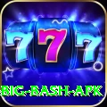 bbl big bash apk Deluxe Pro v3.3.2