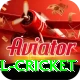 bbl cricket Games (Casino & Earning) Ultimate v4.3.6