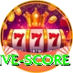 big bash live score Gold Pro v3.5.6