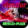 bingo Elite v2.5.6
