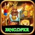 bingopkr Pro1 v2.8.7