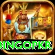 bingopkr Pro1 v2.8.7