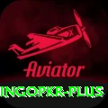 bingopkr Max Pro v4.2.7