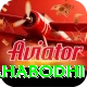 bodh gaya mahabodhi Master Pro v4.9.1