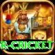 century predictor cricket Plus Edition v3.1.8