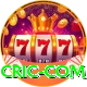 cric com Pro1 v2.1.5