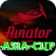 cricbuzz asia cup VIP Pro v2.4.9