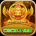 cricket bat Turbo v5.0.3