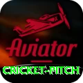 cricket pitch Pro Max v4.9.1