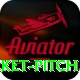 cricket pitch Pro Max v4.9.1