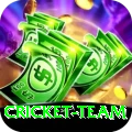 cricket team Deluxe v1.4.1