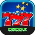 crickex Gold vv3.1.7