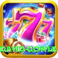 david gower Pro Max v4.6.0