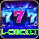 defending total cricket Plus v2.4.8