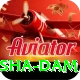 diamer bhasha dam Apps (Tools & Injectors) VIP v1.1.8