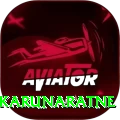 dimuth karunaratne Premium v1.4.3