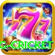 eng cricket Apps (Tools & Injectors) Turbo v2.5.6