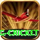 expected goals x g cricket Turbo Pro v1.9.6
