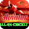 fastest ball in cricket Ultimate Pro v5.7.8