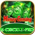 fastest ball in cricket Slots Elite v3.6.1