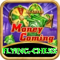 flying chess VIP Pro v3.2.9