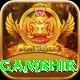 gautam gambhir Apps (Tools & Injectors) Max v3.9.9