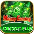 god of cricket Gaming Royal