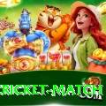 india cricket match Gold Pro v5.5.4