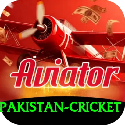 india pakistan cricket Pro Edition v5.6.8 - 2