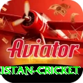 india pakistan cricket Pro Edition v5.6.8