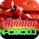 india pakistan cricket Pro Edition v5.6.8