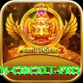 india pakistan cricket Bonus Super v5.0.7