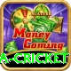 india sri lanka cricket Plus v3.0.9