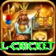 international cricket Games (Casino & Earning) Master v1.5.4
