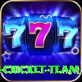 ireland cricket team Pro Edition v5.8.4