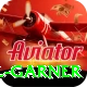 joel garner Deluxe Edition v5.5.9