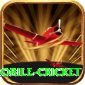 mobile cricket Pro Edition v1.6.5