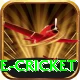 mobile cricket Pro Edition v1.6.5