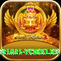 naseem shah yorkers Turbo v2.5.8