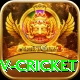 ndtv cricket Gold v4.6.4