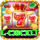 one cricket Deluxe Pro v1.7.0