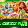 one cricket Deluxe Latest v1.4.3