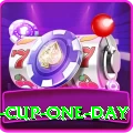 pakistan cup one day Premium Edition v2.3.6