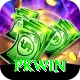 PKWin Apps (Tools & Injectors) Premium vv1.2.3