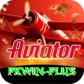 pkwin Premium v3.7.1