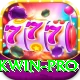pkwin VIP Pro v3.3.8